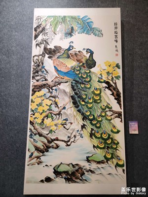 【抬起頭的視界】氣勢(shì)蓬勃