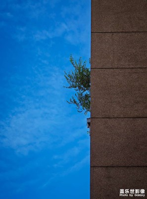 【抬起頭的視界】+藍天之下