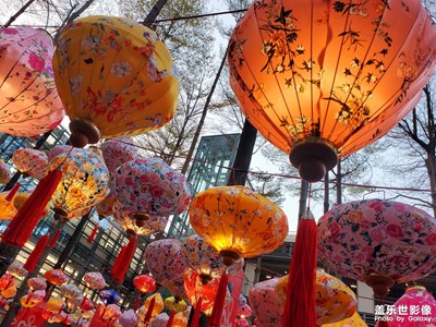 【抬起頭的視界】唯美的視角