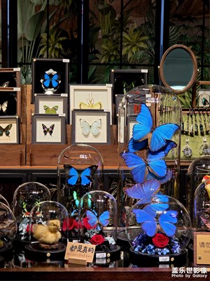 我在沈陽1905里面熱愛生活