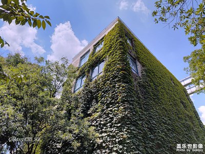 【抬起頭的視界】凝思悟心