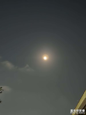 【抬起頭的視界】天上人間