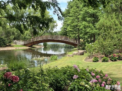 辰山秘境里的莫奈花園