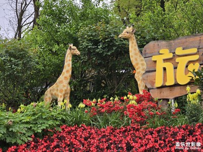 【抬起頭的視界】+?世界的美好