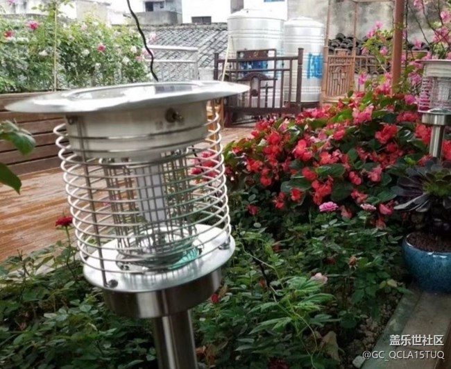 【鵬城暑色】鳥(niǎo)語(yǔ)花香