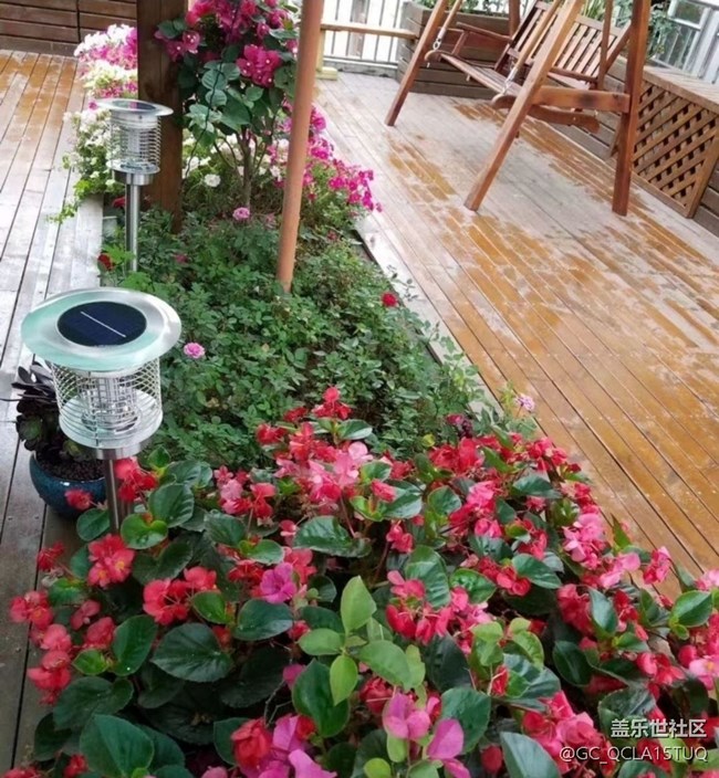 【鵬城暑色】鳥(niǎo)語(yǔ)花香