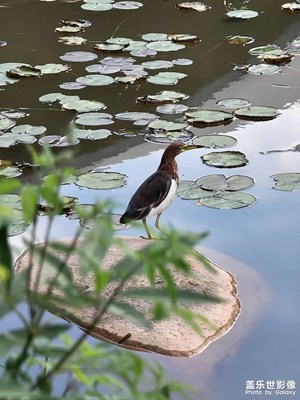 【生活的AB面】多出門走走