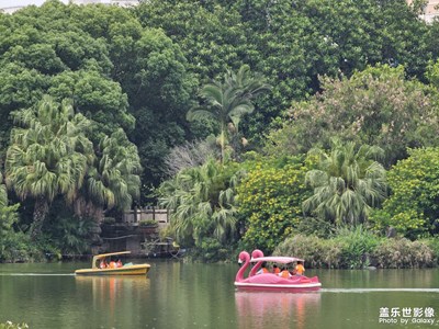 【生活的AB面】倒影