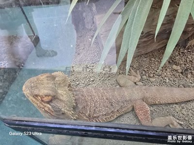 【生活的AB面】+生活