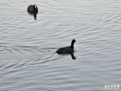 【生活的AB面】+ 云南美景倒影