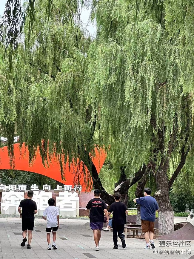 【回顧貼】三星Galaxy Watch 8｜這波真的香！