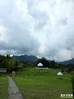 三星fold7隨手拍