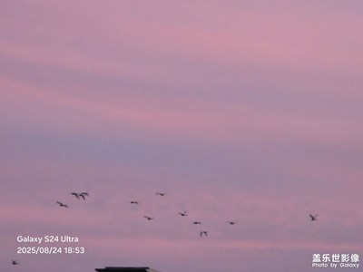 【生活的AB面】臺(tái)風(fēng)前夕的天空之境