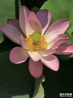 [生活的AB面]雜記