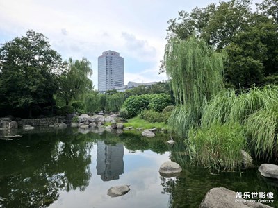 晴空萬里-Zfold7 日光拍攝初體驗(yàn)