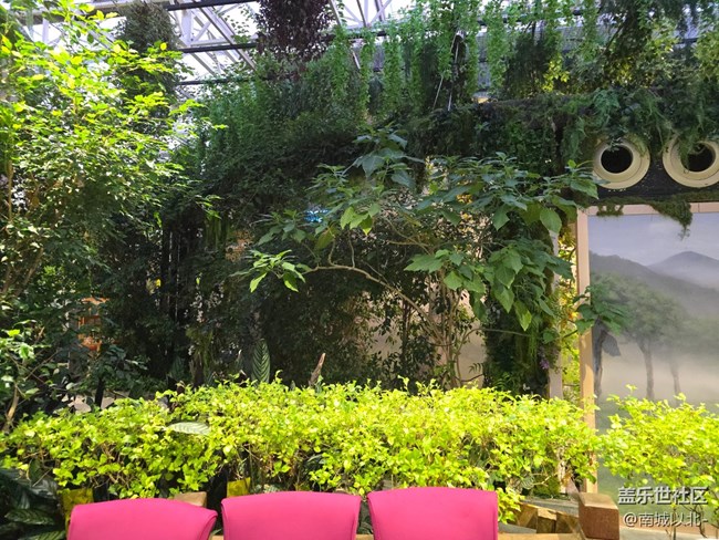 【星羽所愿】帶著三星設(shè)備一起來打羽毛球