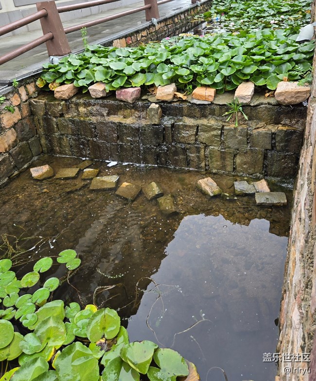 【漫步雨中】慢享雨后