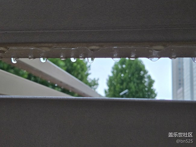 【漫步雨中】雨落