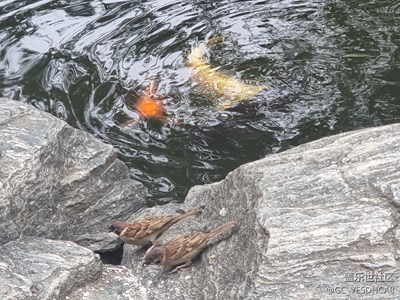 青龍寺。。。。。。。。