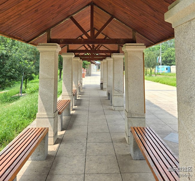 【鵬城暑色】漫步夏日