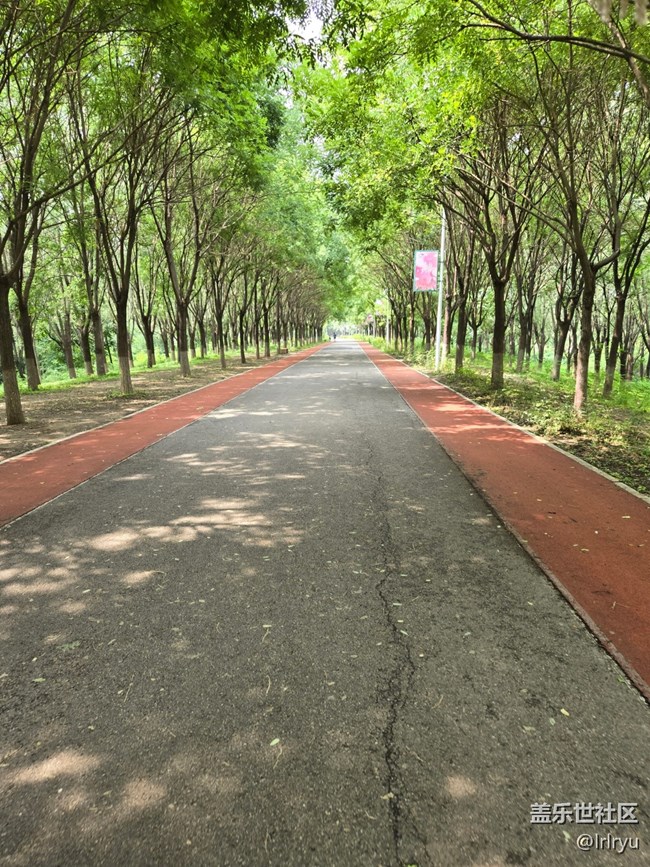 【鵬城暑色】漫步夏日