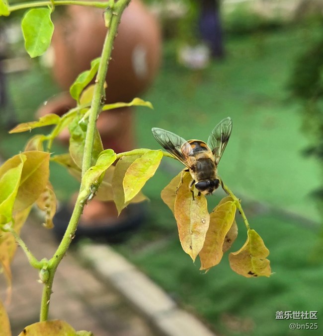 【立秋相簿】感受秋日氣息