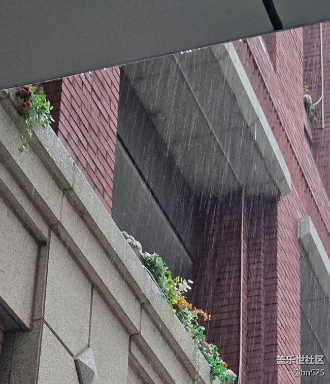 【漫步雨中】雨落