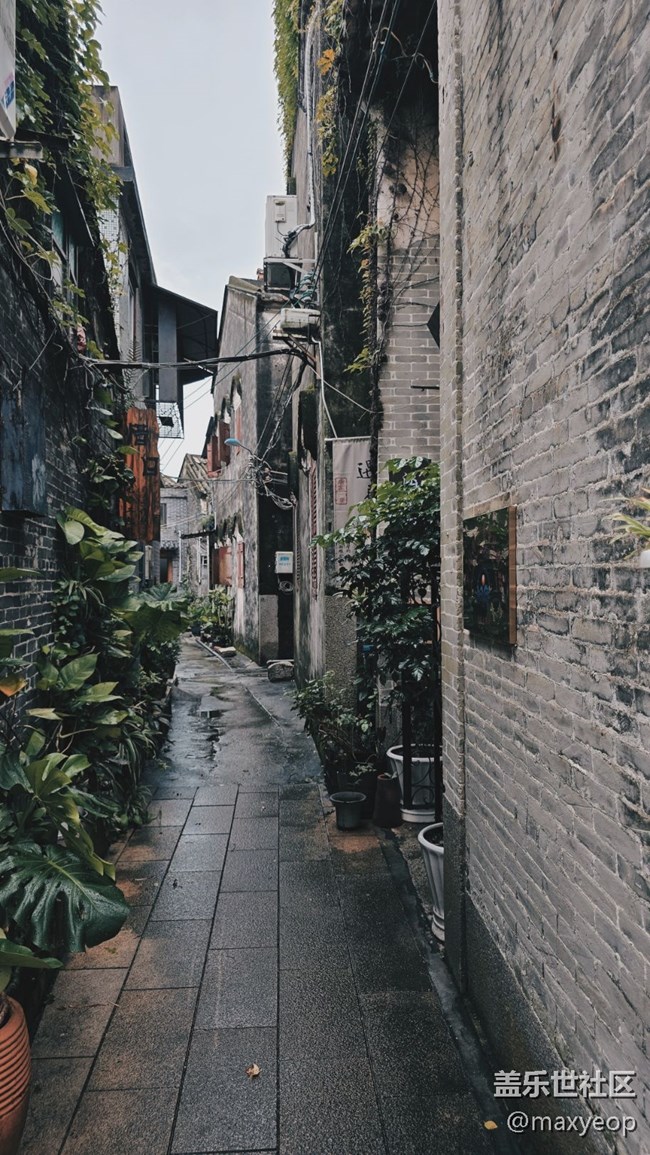 【立秋相簿】珠海唐家古鎮(zhèn)