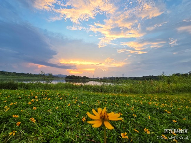 【鵬城暑色】夏日綠色