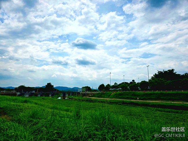 【鵬城暑色】夏日綠色