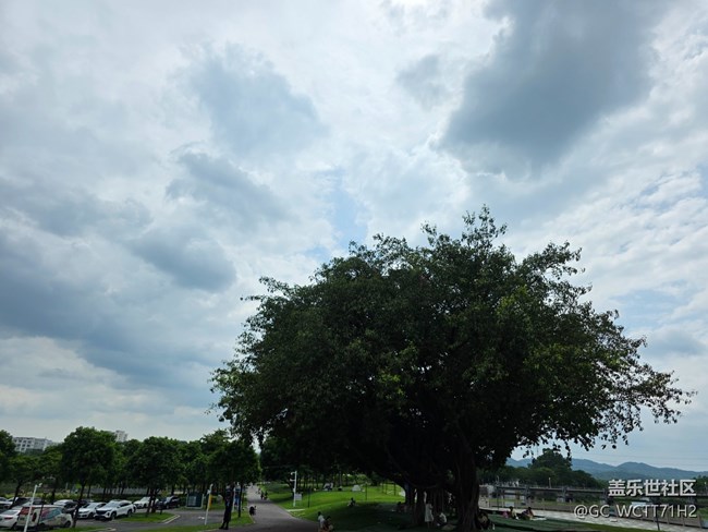 【鵬城暑色】綠廊