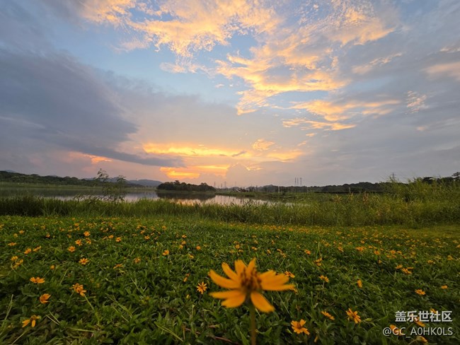 【鵬城暑色】夏日濾鏡