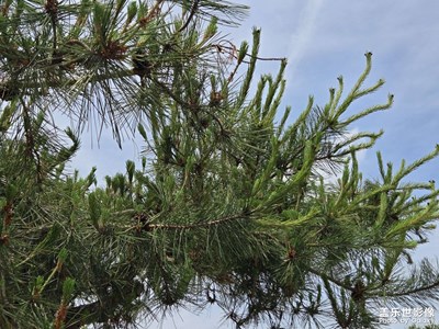 【生活的AB面】+?出片的生活