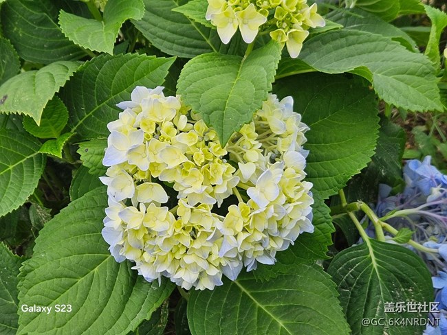 【鵬城暑色】夏日美景