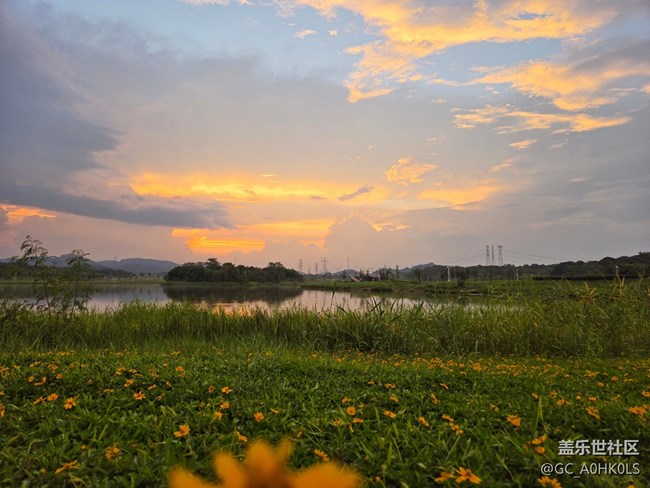 【鵬城暑色】夏日濾鏡