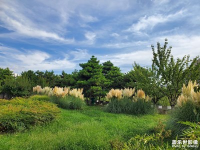 【生活的AB面】+ 城墻