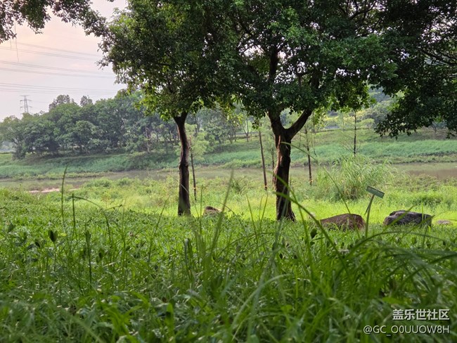 【鵬城暑色】加油，八月！