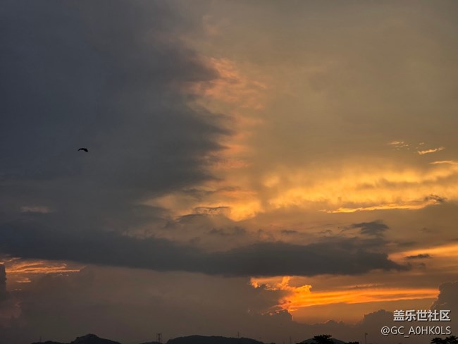 【鵬城暑色】夏日濾鏡