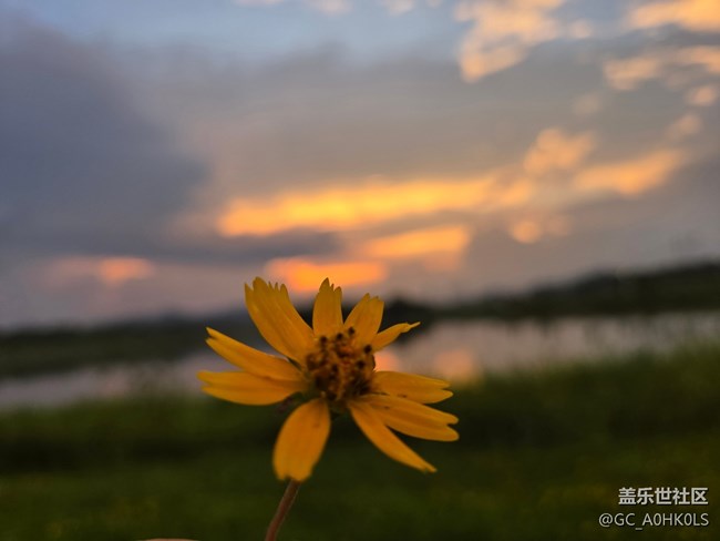 【鵬城暑色】夏日濾鏡