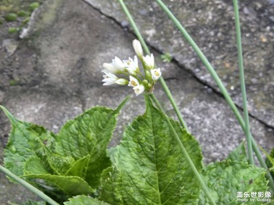 【生活的AB面】+ 點(diǎn)點(diǎn)滴滴