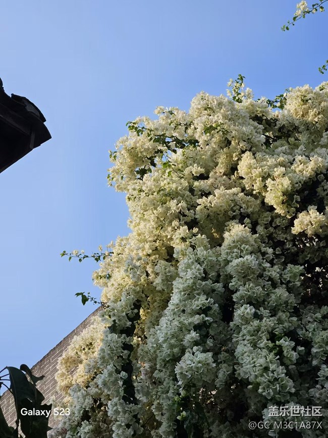 【鵬城暑色】火炎焱燚