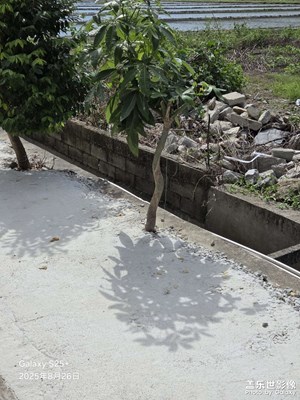 【生活的AB面】影子