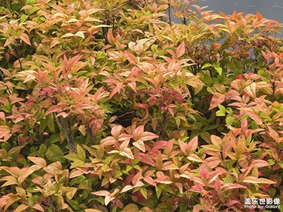 【生活的AB面】+ 方方面面