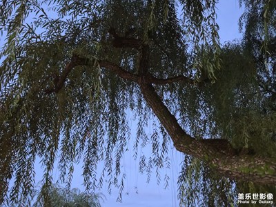 【生活的AB面】+ 就在幸福中