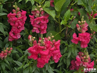 【生活的AB面】+ 尋找樂趣