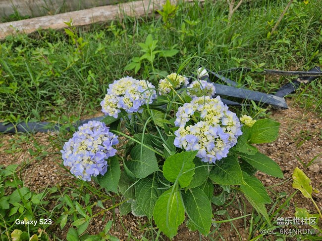 【鵬城暑色】夏日美景