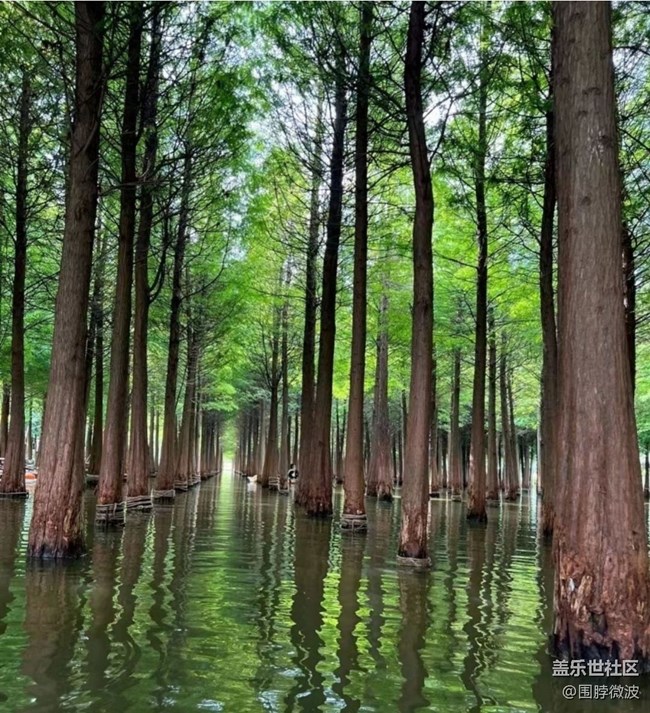 【鵬城暑色】美食美景