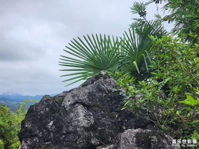 【透過鏡頭感受世界】+貴州甕安下司石林仙境