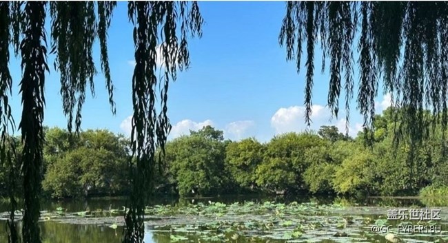 【鵬城暑色】初秋