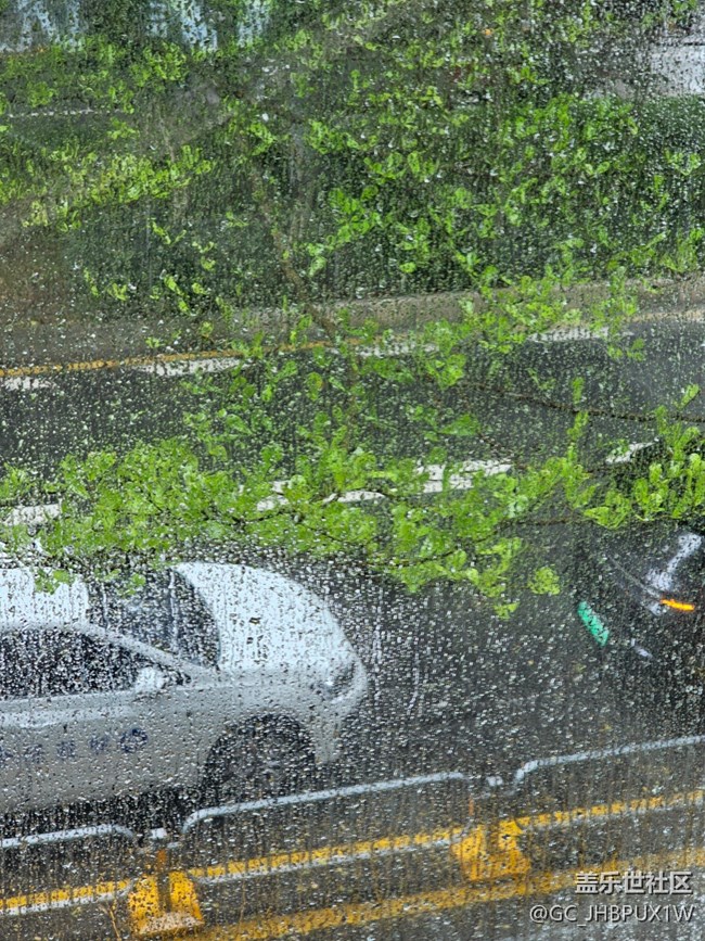 【漫步雨中】大雨模糊